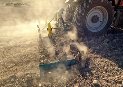 Somos fabricantes de maquinaria agrícola como las marcas Maquinaria Agrícola Sánchez, Maquinaria Agrícola Santiago, Maquinaria Mur, Metálicas Llorente, Montoya y Sevilla y Nueva Casa Grande